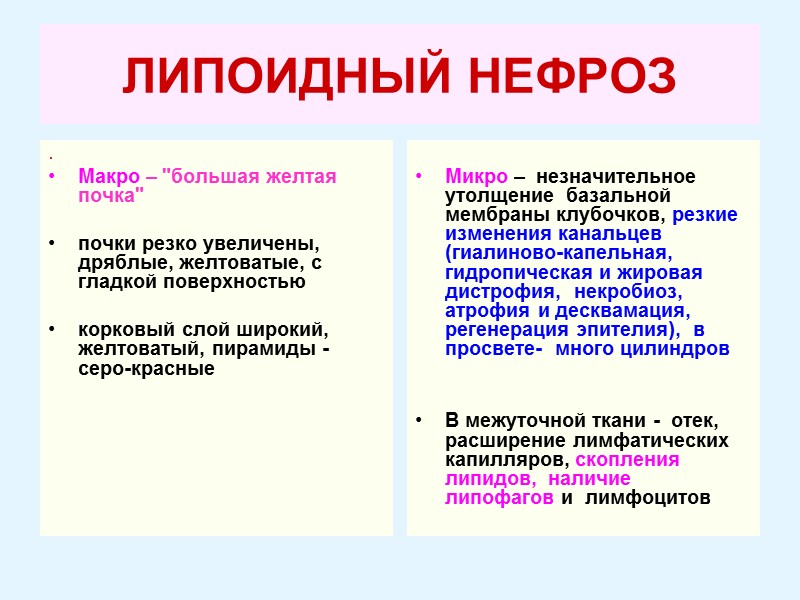 ЛИПОИДНЫЙ НЕФРОЗ .   Макро – 